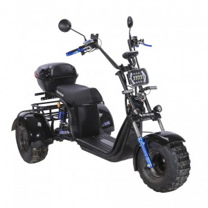 Электроскутер CityCoCo SkyBoard Trike BR40-3000 PRO FAST